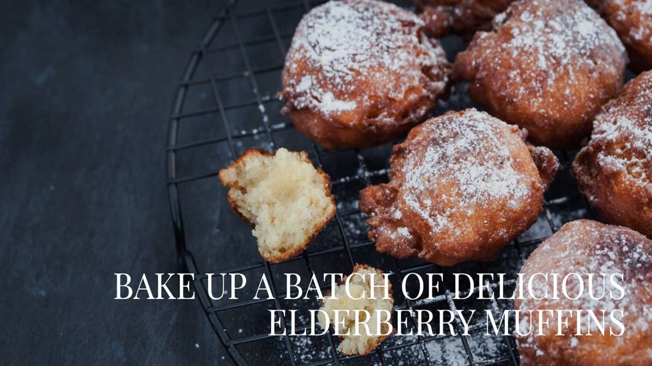 Elderberry Muffin Recipes