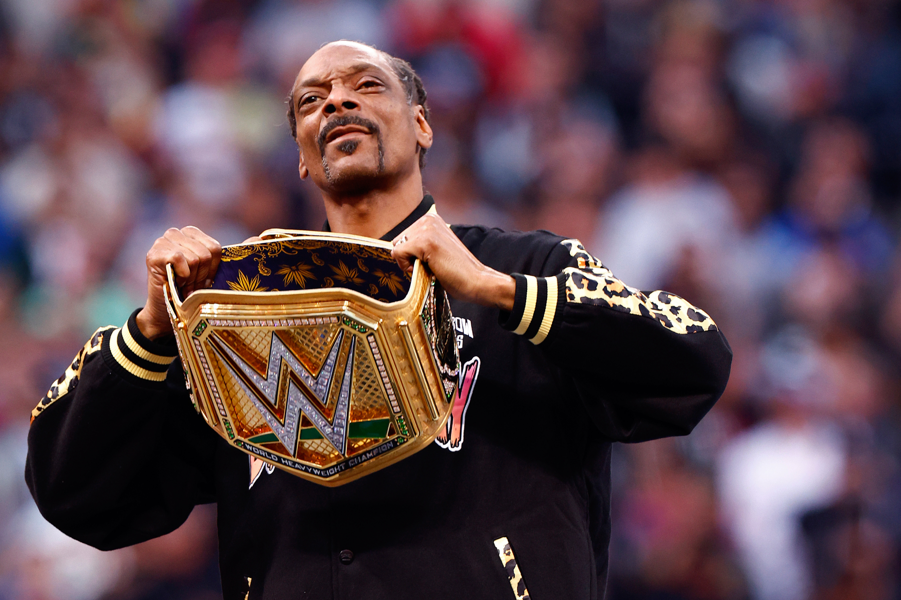 7 Celebrities You May Not Know Were Wrestling Fans! 